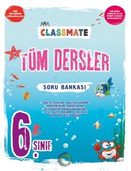 6. Sınıf Tüm Dersler Soru Bankası Okyanus Yayıncılık